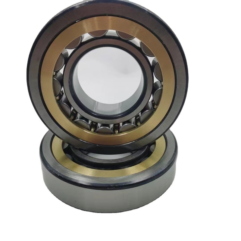 OEM sigilli Tipo cuscinetto a rulli cilindrico N204 N204m per cambio auto 20X47x14 Struttura