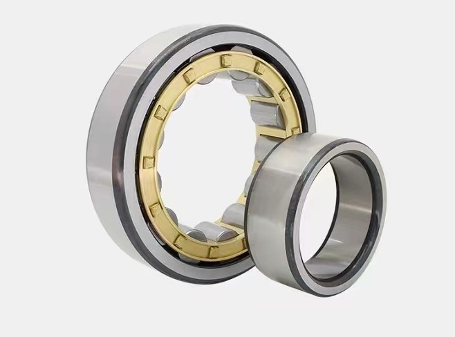 OEM sigilli Tipo cuscinetto a rulli cilindrico N204 N204m per cambio auto 20X47x14 Struttura