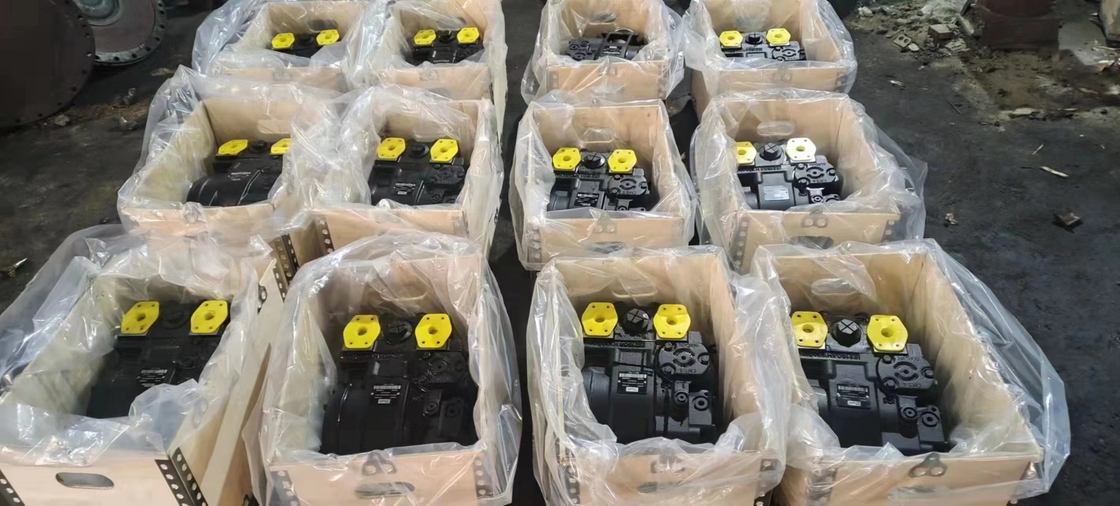 Parti di pompe idrauliche GCr15SiMn per una lunga durata e prestazioni nelle pompe Rexroth