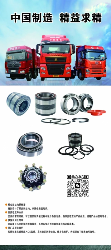 P2 cuscinetto di perno di precisione per autoveicoli pesanti 800792C F-565824.02 R178-221506 2277946 363019 21036050 VKBA5456