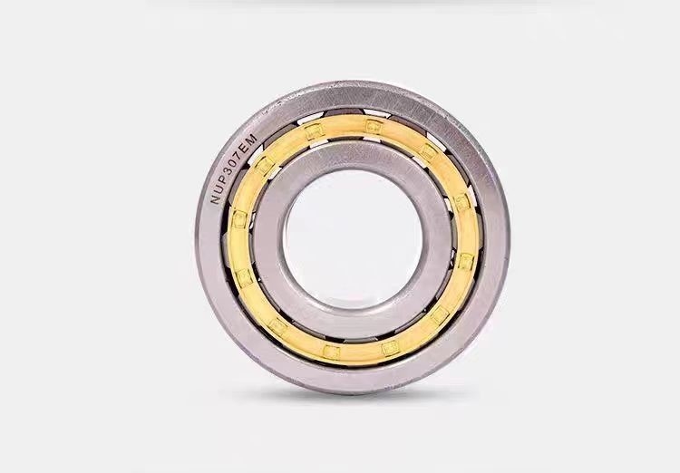 Fornitura in magazzino N Serie N1012M Cuscinetti a rulli cilindrici con sigilli OEM Tipo