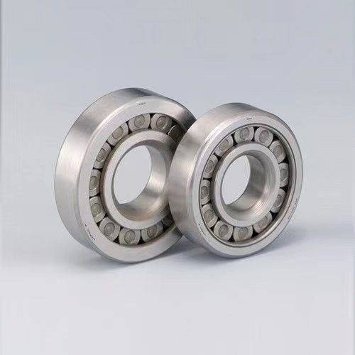 Tipo di sigilli OEM Cuscinetto a rulli cilindrici a doppia fila SL014916 Cuscinetto per veicoli