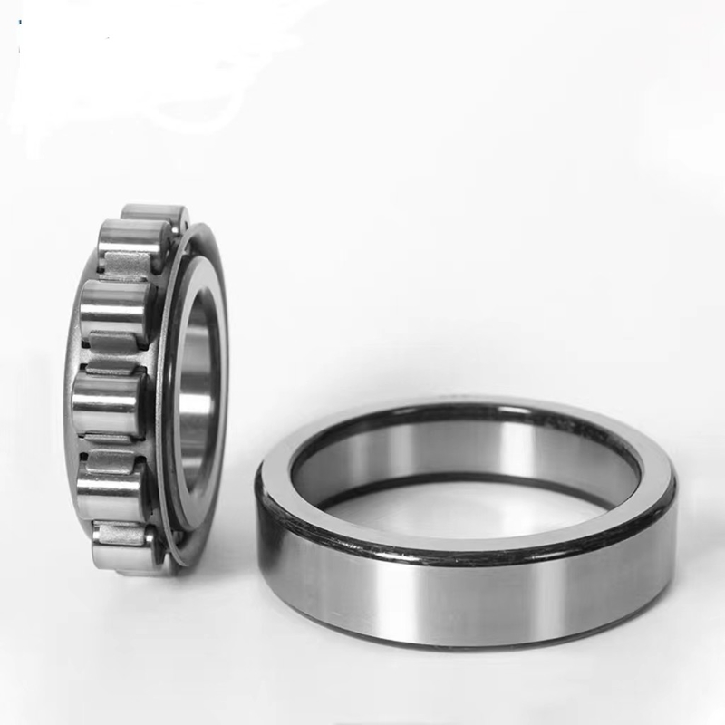 NJ221 cuscinetto a rulli cilindrico conveniente con sigilli ad alta precisione e OEM