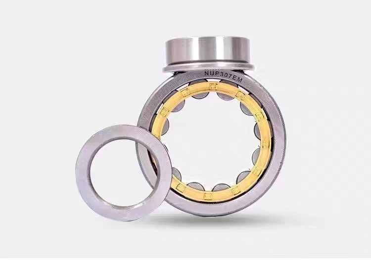 NJ221 cuscinetto a rulli cilindrico conveniente con sigilli ad alta precisione e OEM